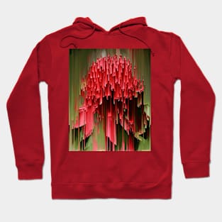 Glitched Waratah Hoodie